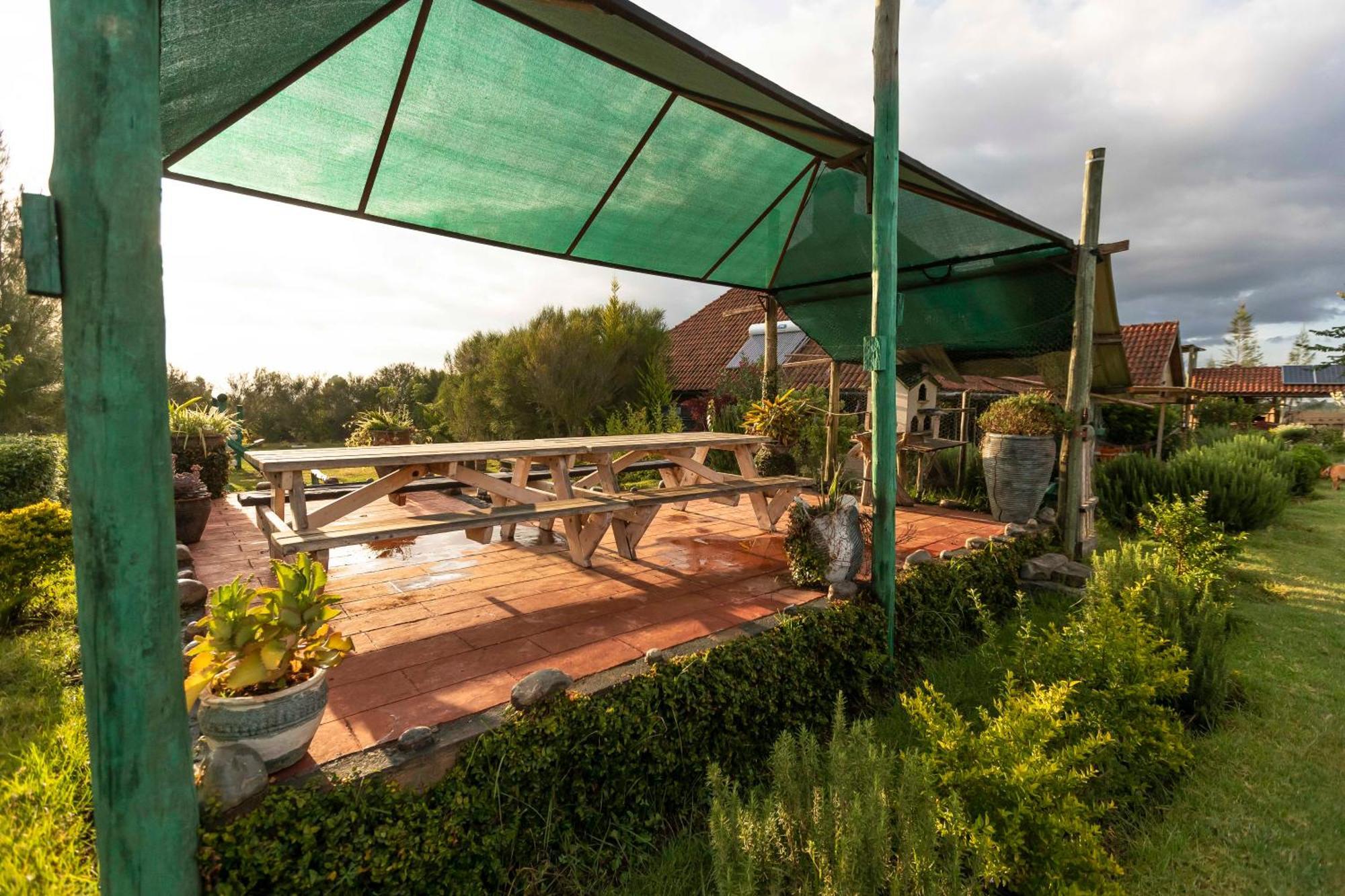 Mount Kenya Farm Stay Nanyuki Exteriör bild